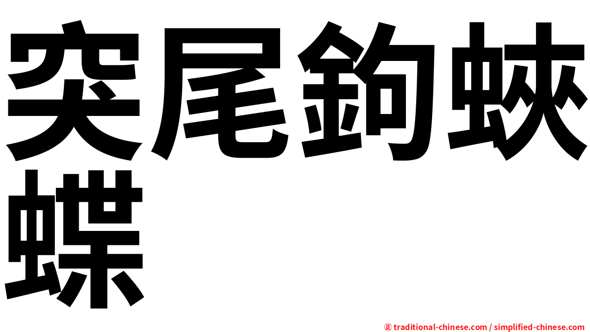 突尾鉤蛺蝶