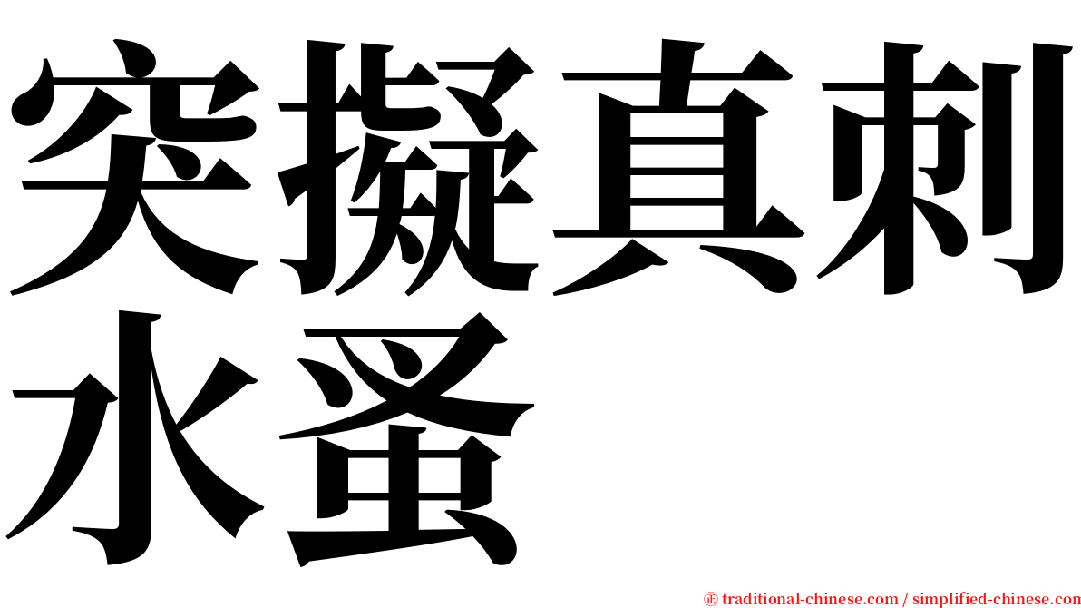 突擬真刺水蚤 serif font
