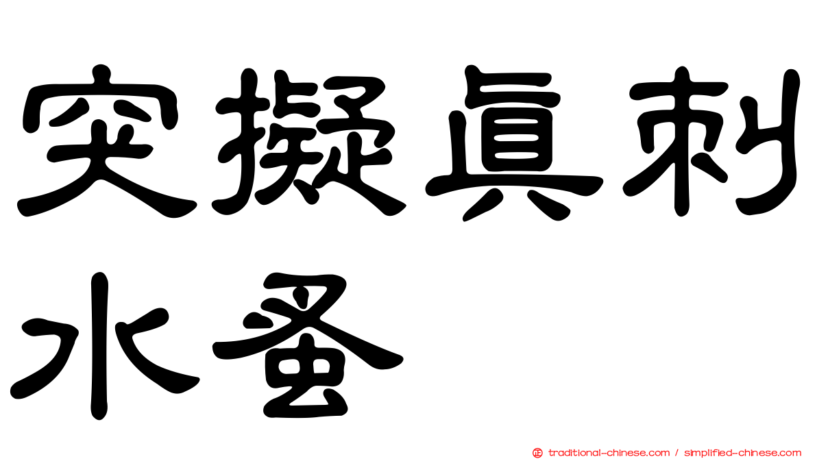 突擬真刺水蚤