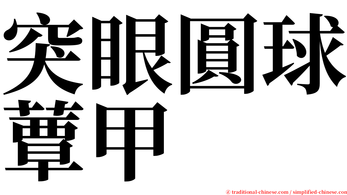 突眼圓球蕈甲 serif font
