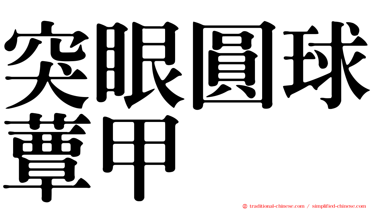 突眼圓球蕈甲