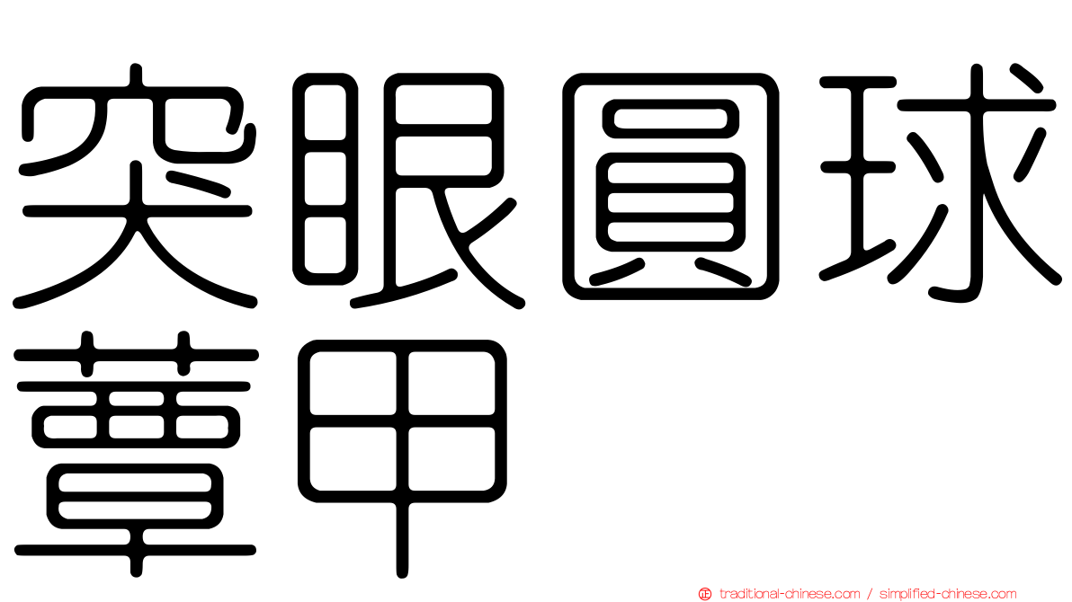 突眼圓球蕈甲