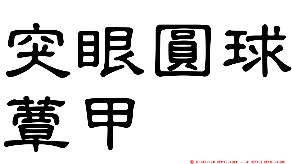 突眼圓球蕈甲