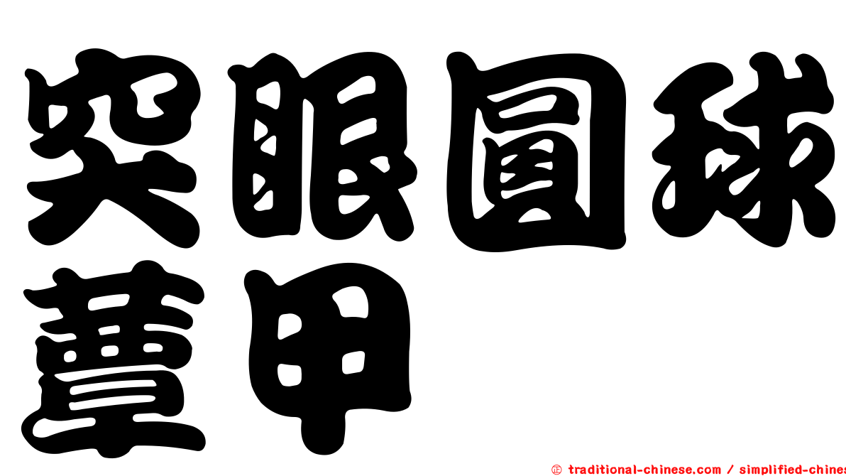 突眼圓球蕈甲