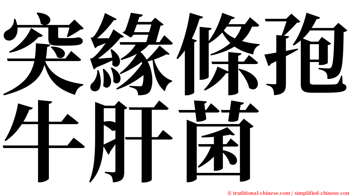 突緣條孢牛肝菌 serif font