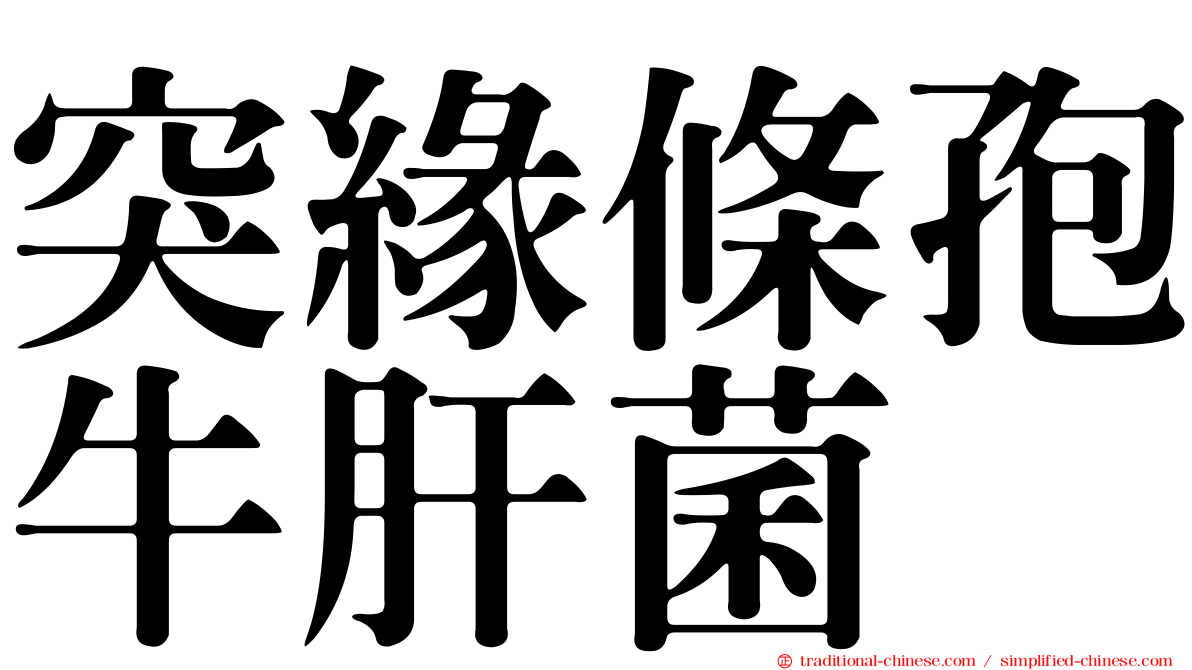 突緣條孢牛肝菌
