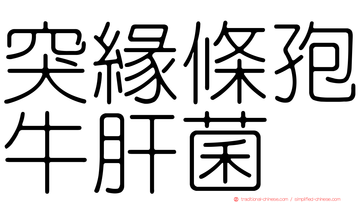 突緣條孢牛肝菌