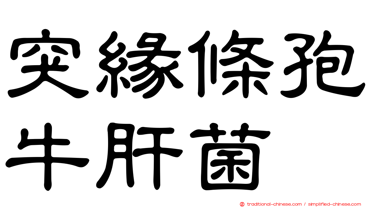 突緣條孢牛肝菌