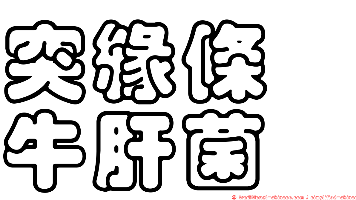 突緣條孢牛肝菌