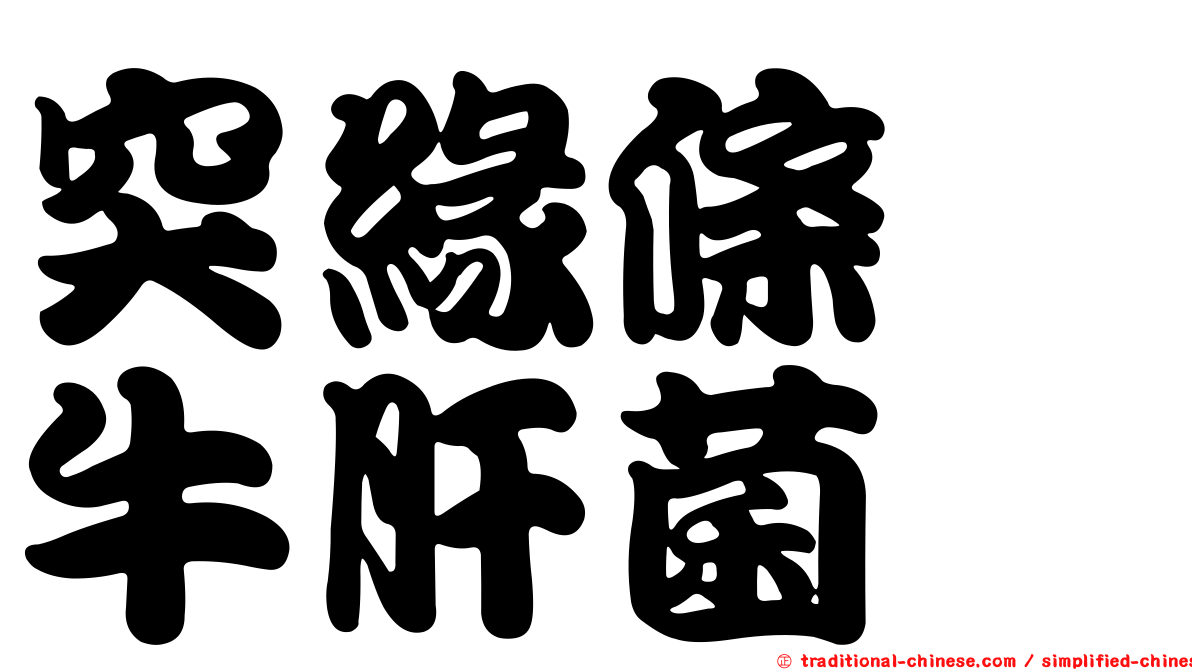 突緣條孢牛肝菌