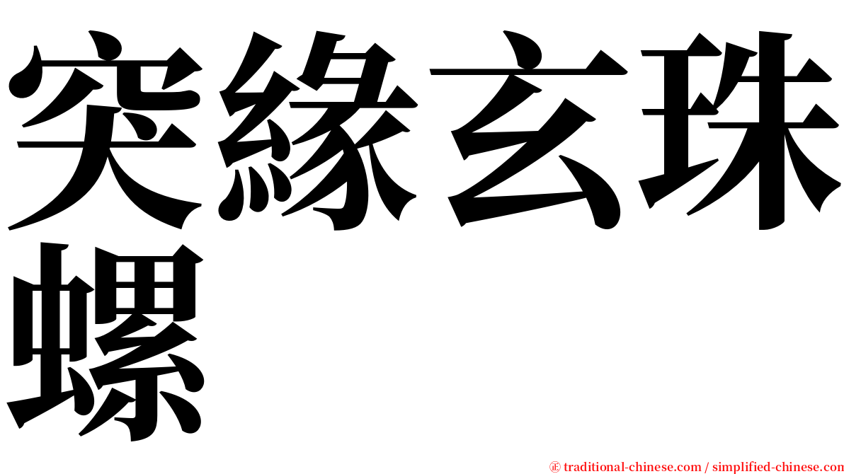 突緣玄珠螺 serif font