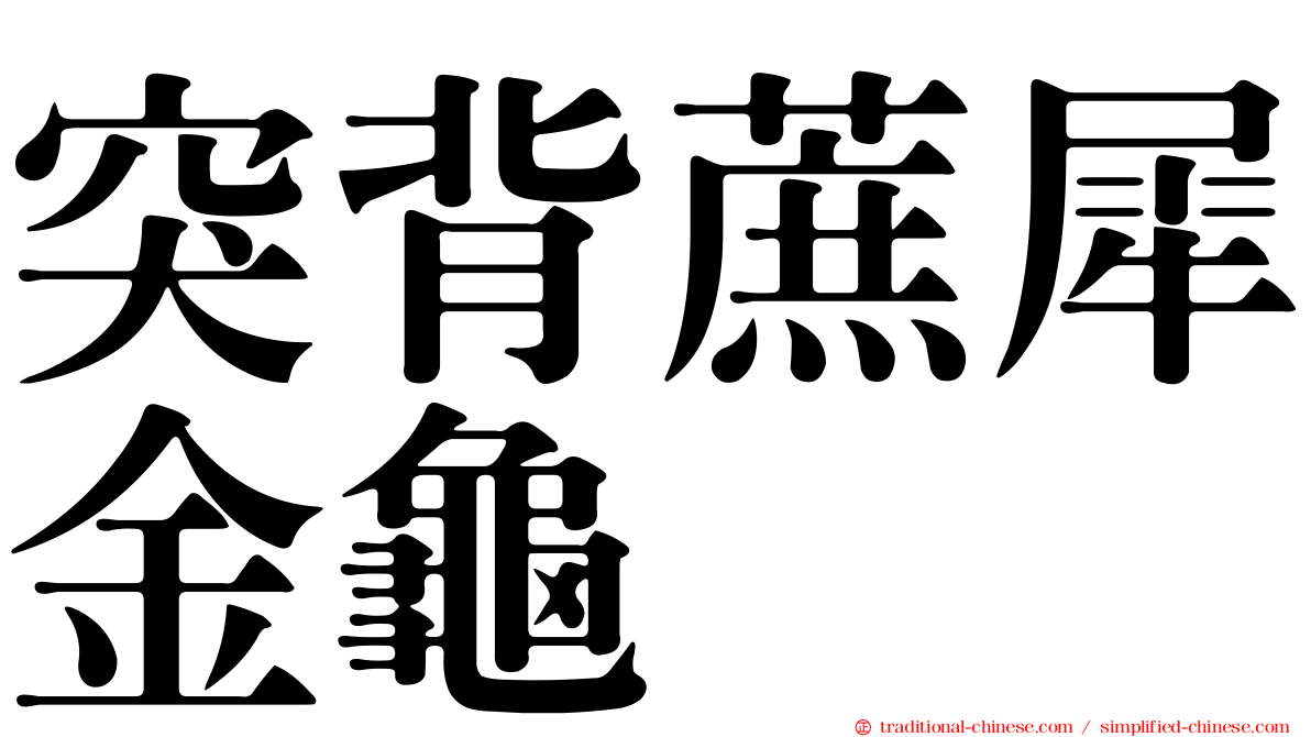 突背蔗犀金龜