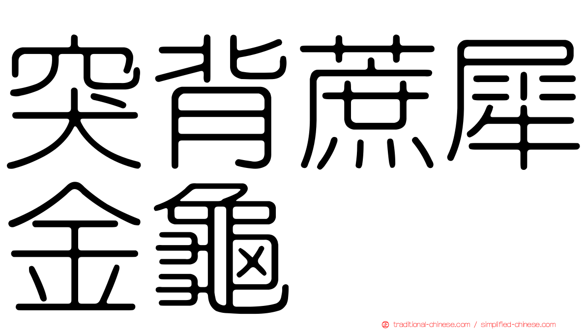 突背蔗犀金龜