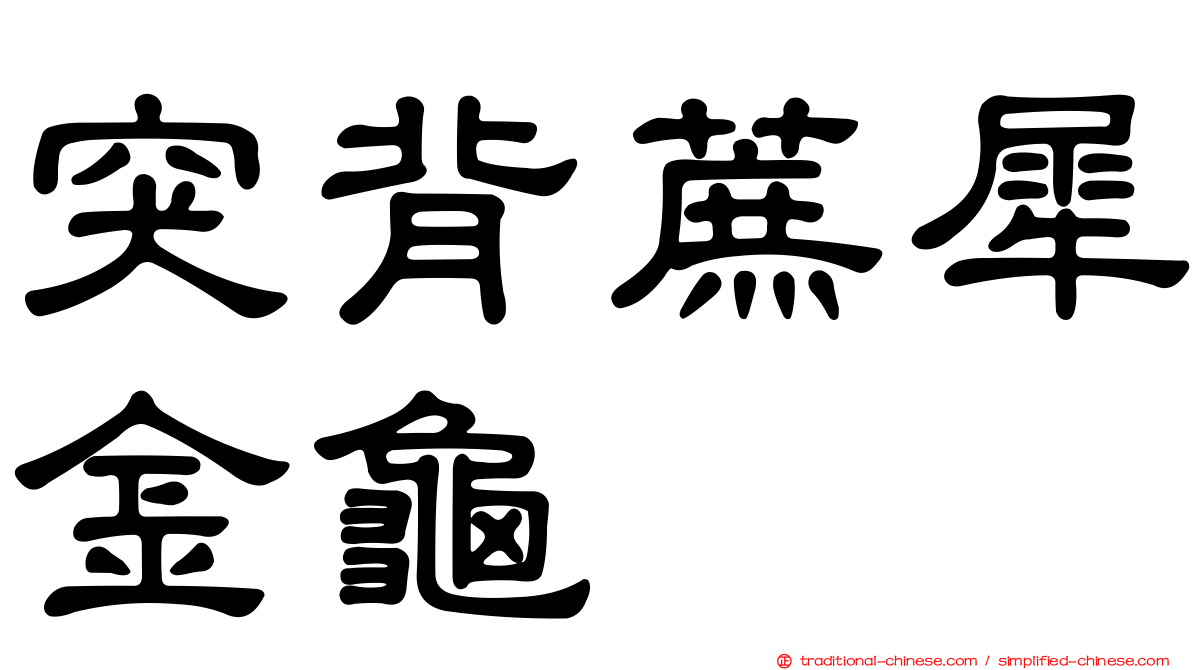 突背蔗犀金龜