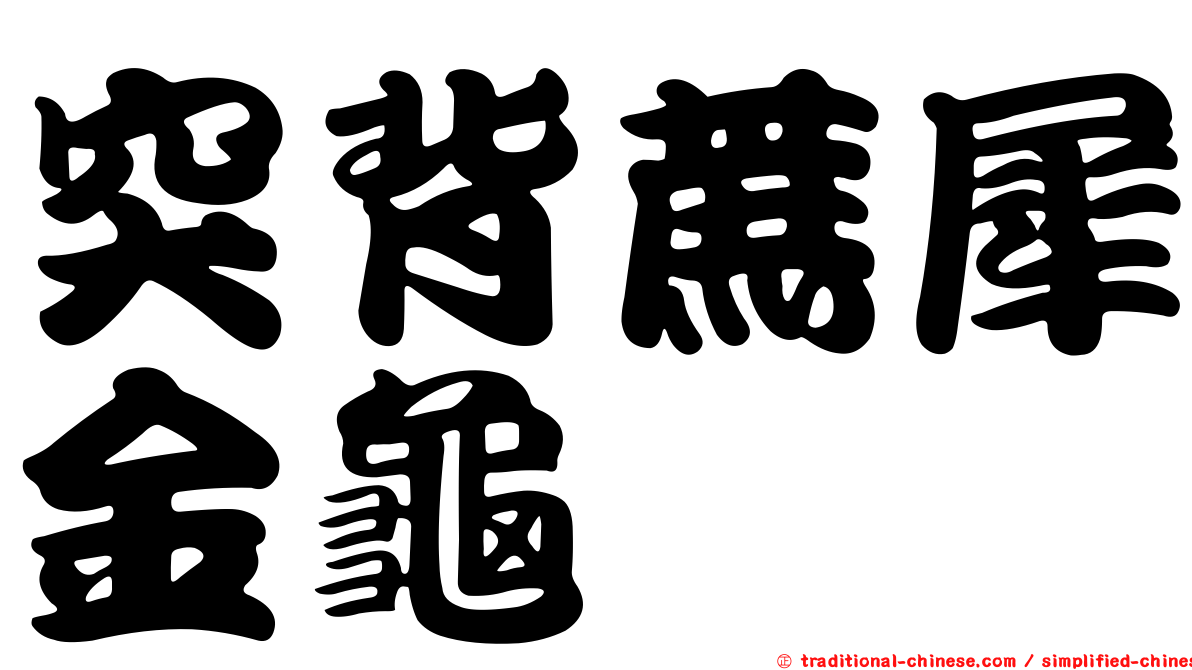 突背蔗犀金龜