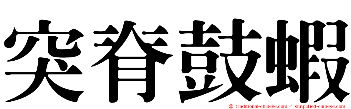 突脊鼓蝦