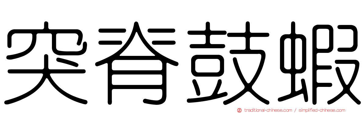 突脊鼓蝦