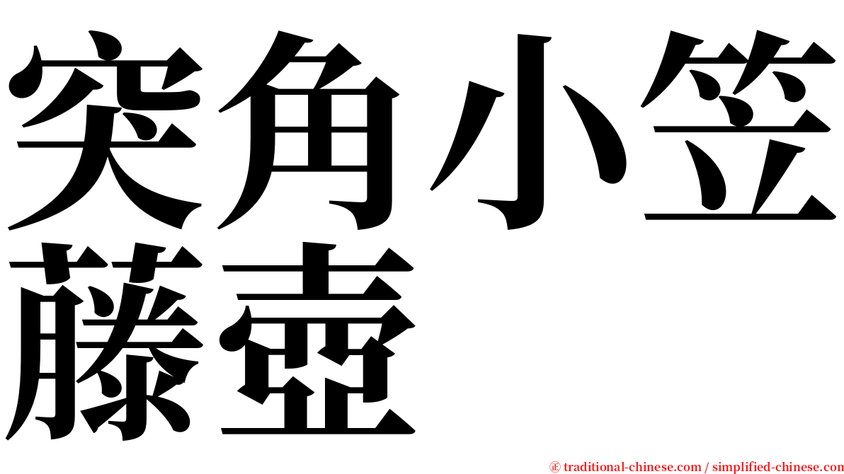 突角小笠藤壺 serif font