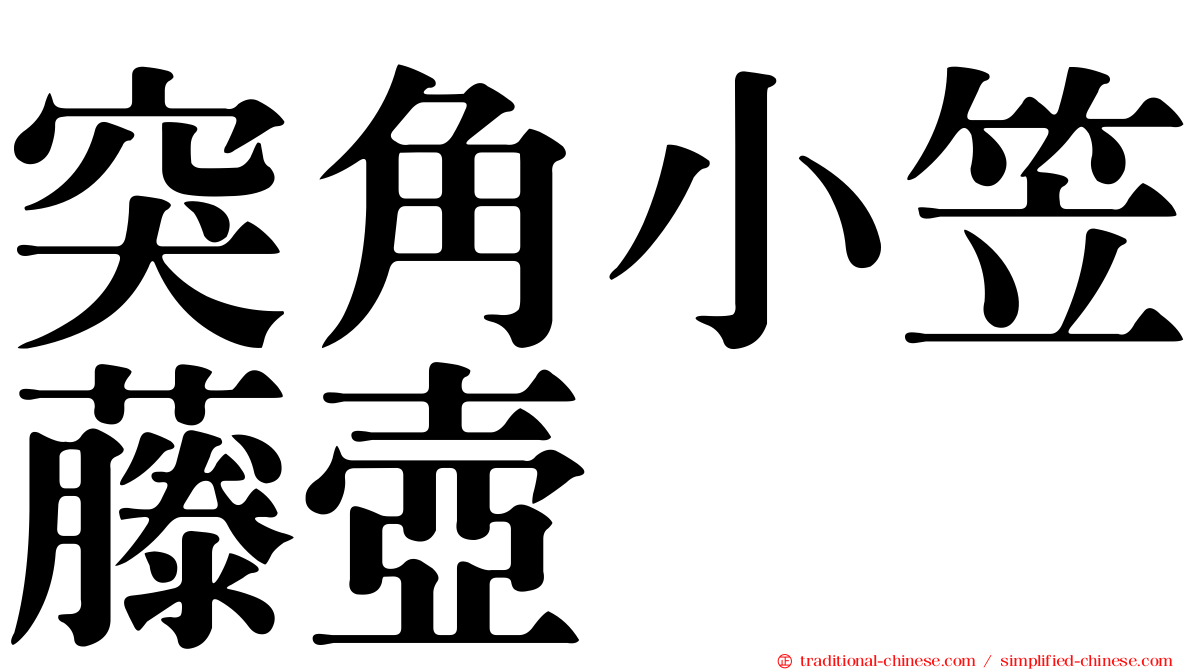 突角小笠藤壺
