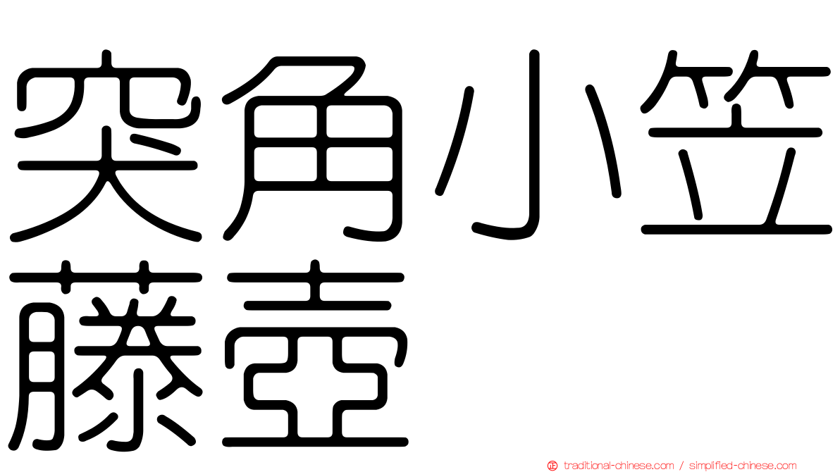 突角小笠藤壺
