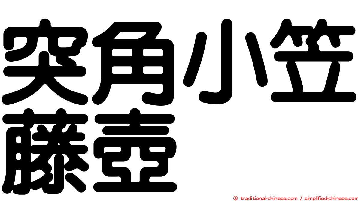 突角小笠藤壺