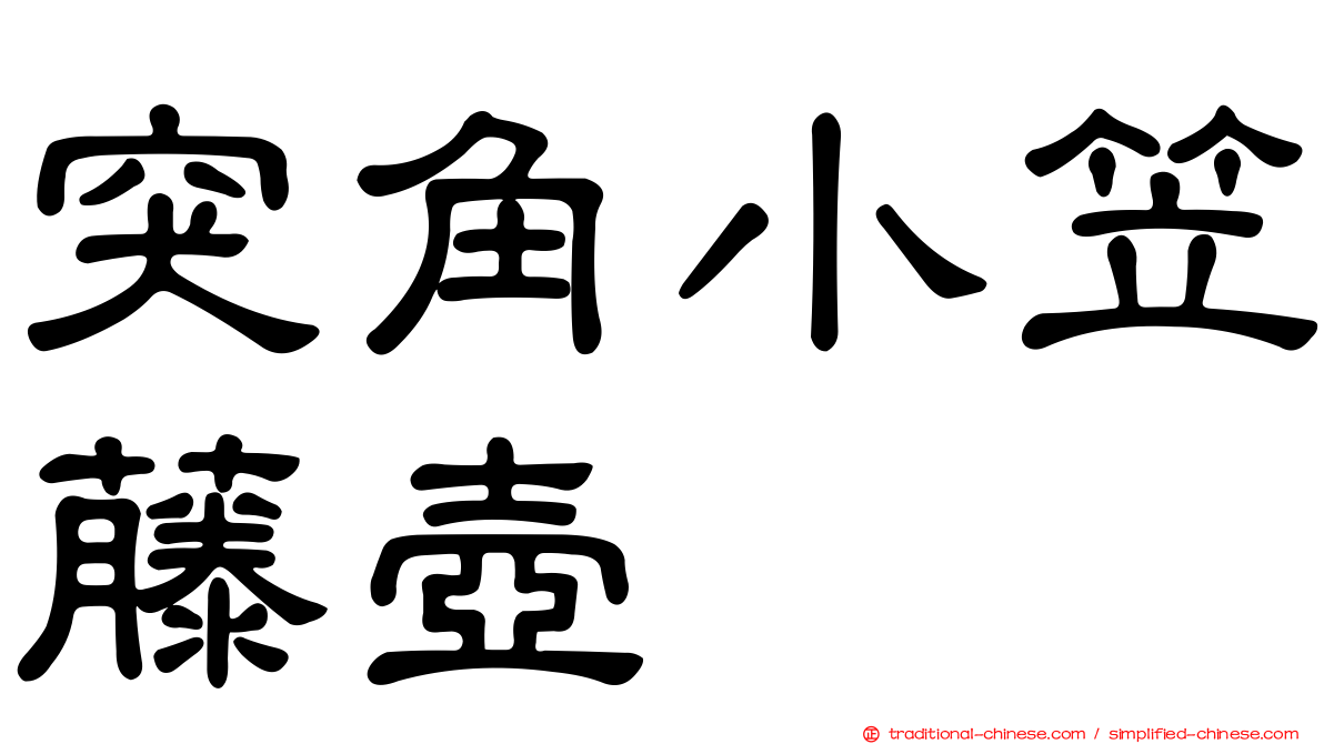 突角小笠藤壺