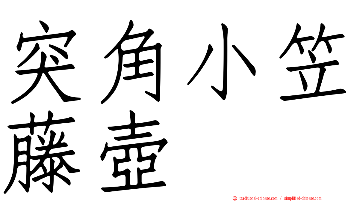突角小笠藤壺