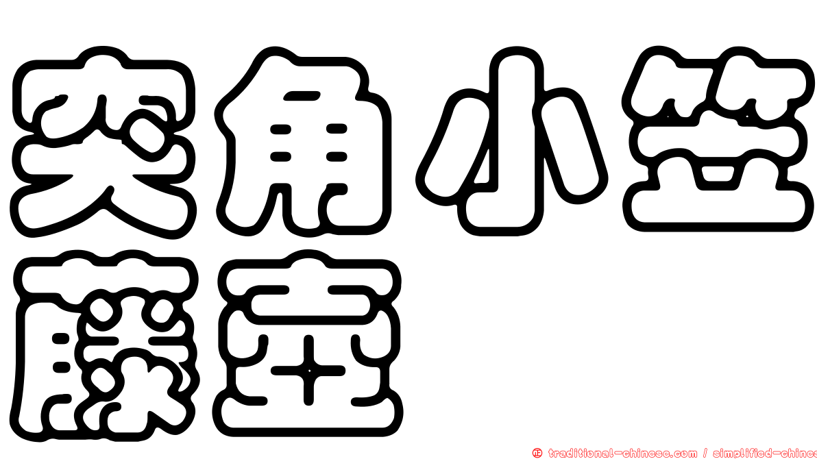 突角小笠藤壺