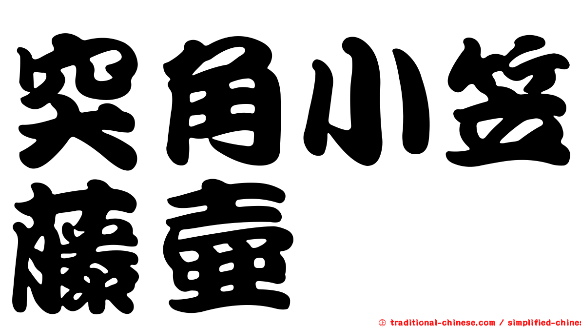突角小笠藤壺