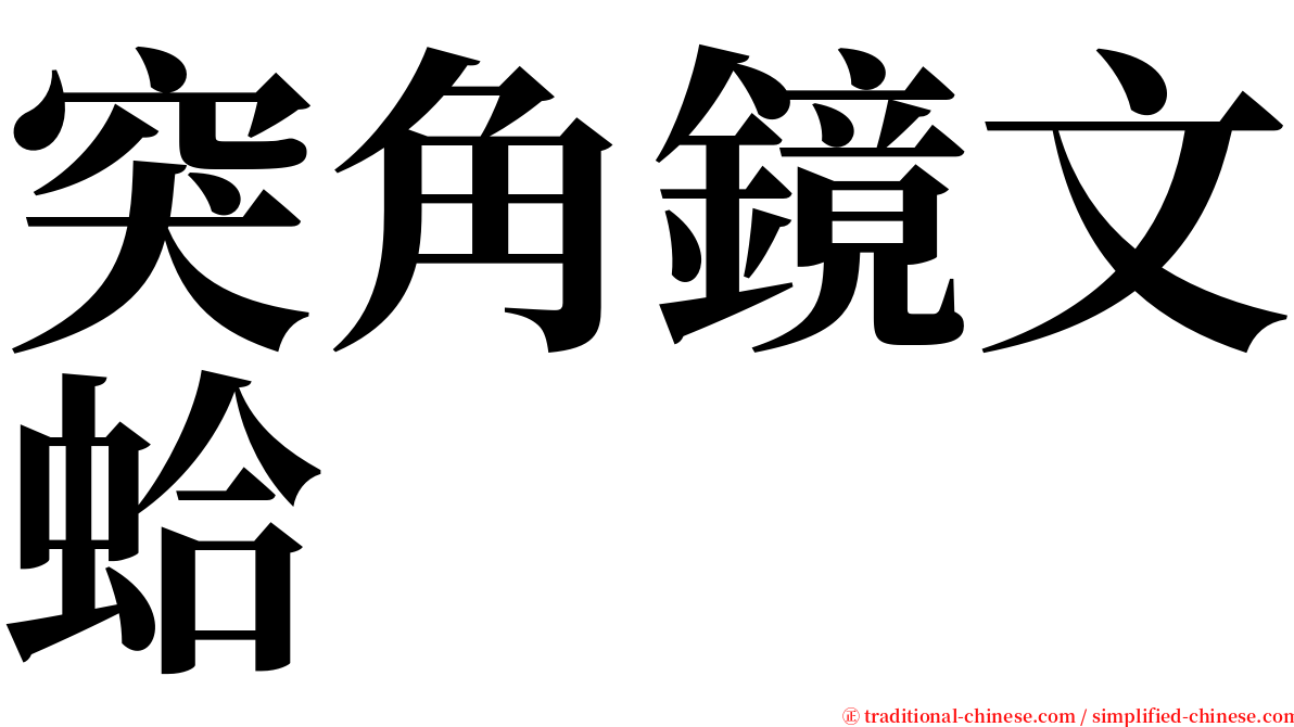 突角鏡文蛤 serif font