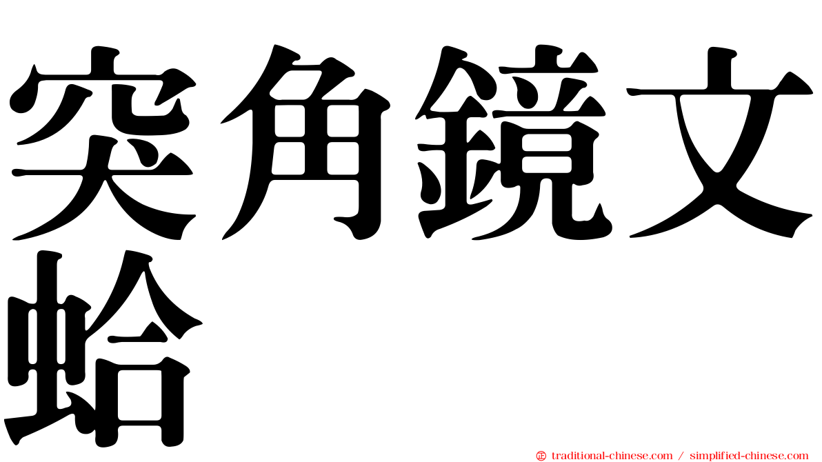 突角鏡文蛤