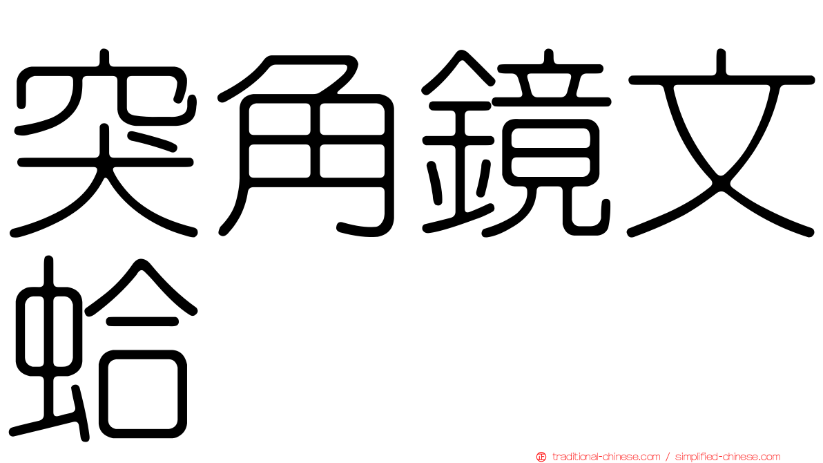 突角鏡文蛤