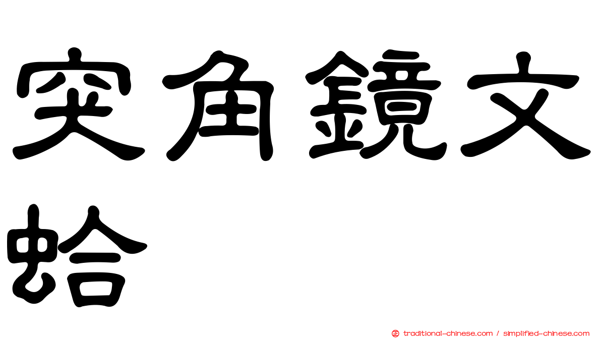 突角鏡文蛤