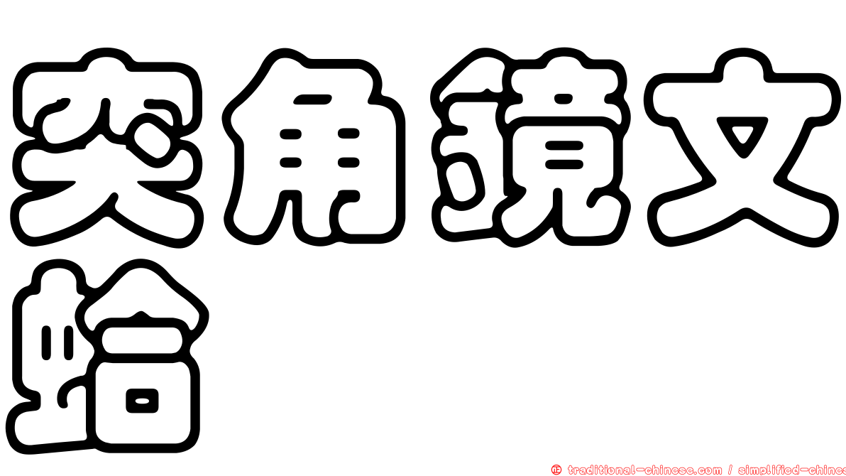 突角鏡文蛤