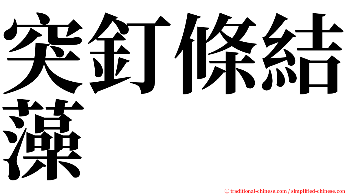 突釘條結藻 serif font