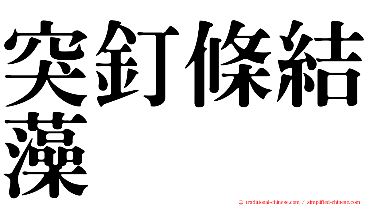 突釘條結藻