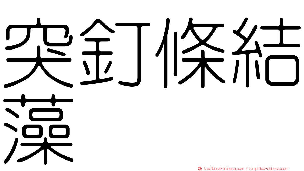 突釘條結藻