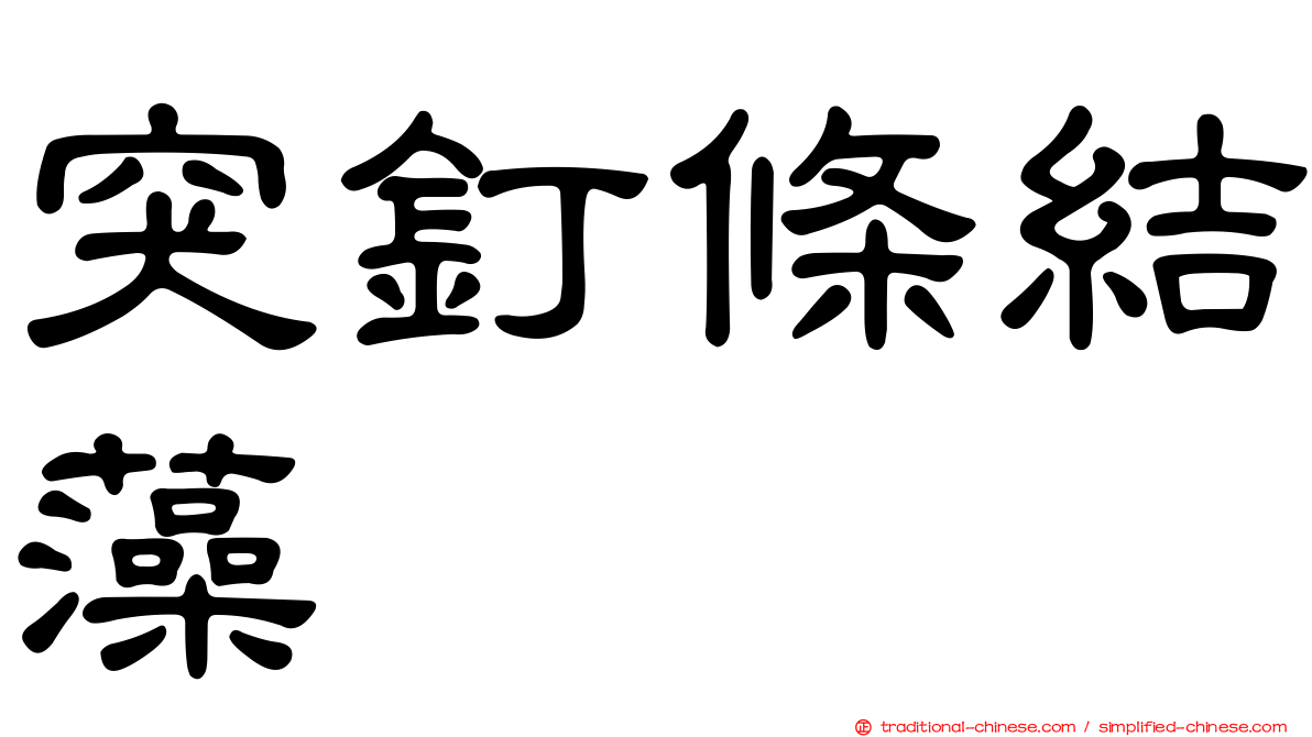 突釘條結藻