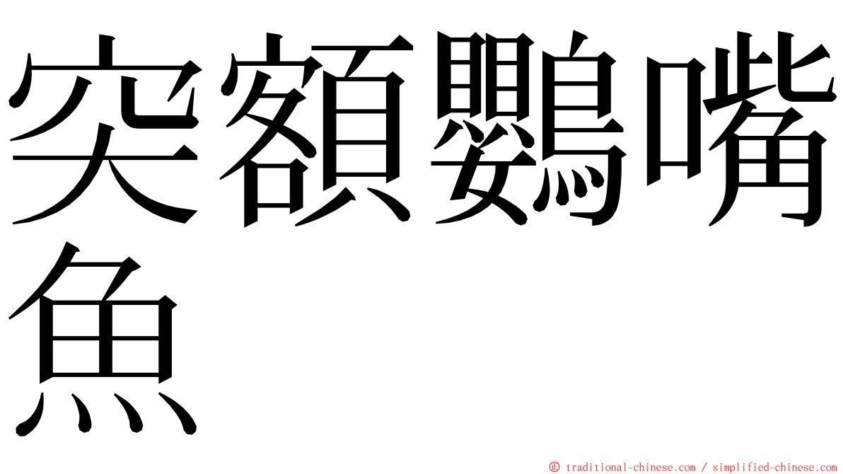 突額鸚嘴魚 ming font