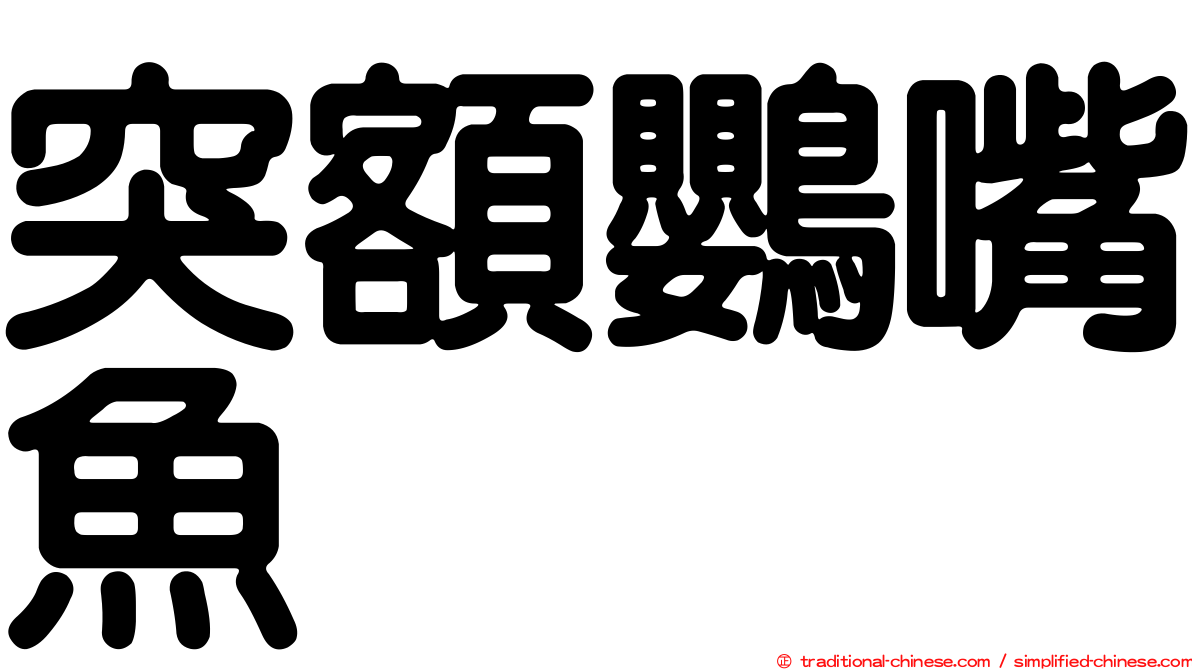 突額鸚嘴魚