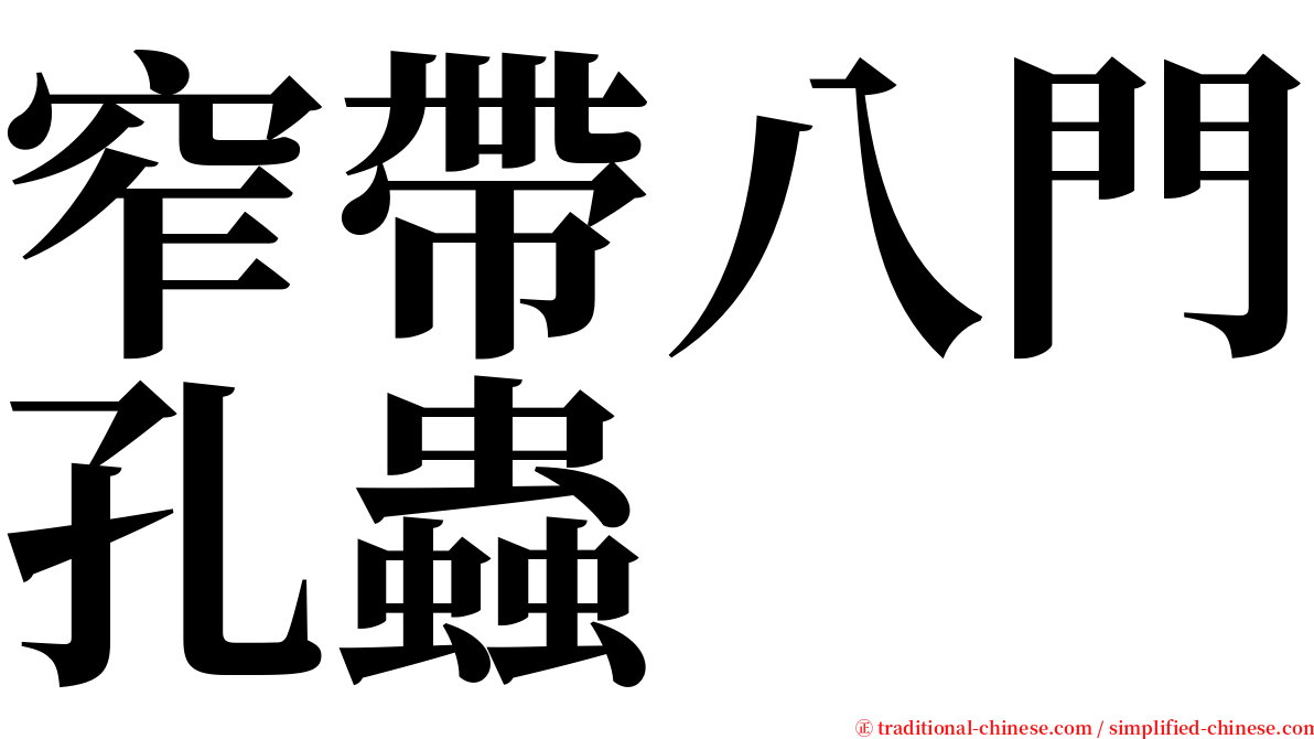 窄帶八門孔蟲 serif font