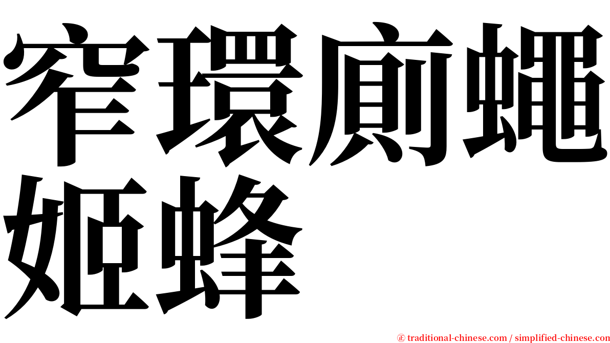 窄環廁蠅姬蜂 serif font