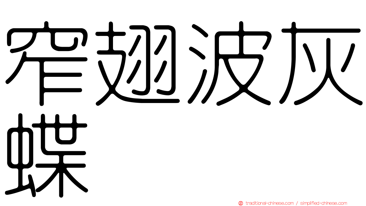 窄翅波灰蝶