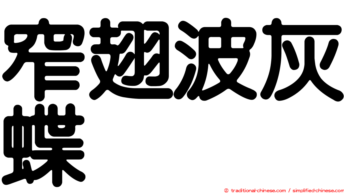 窄翅波灰蝶
