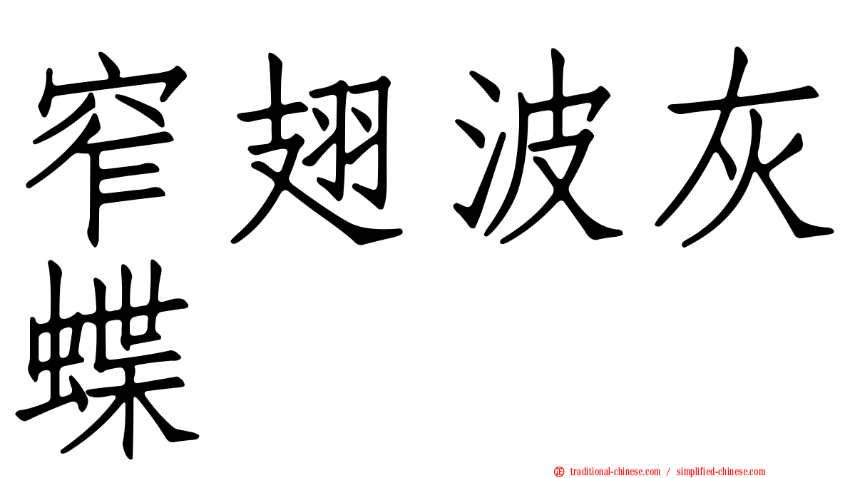 窄翅波灰蝶