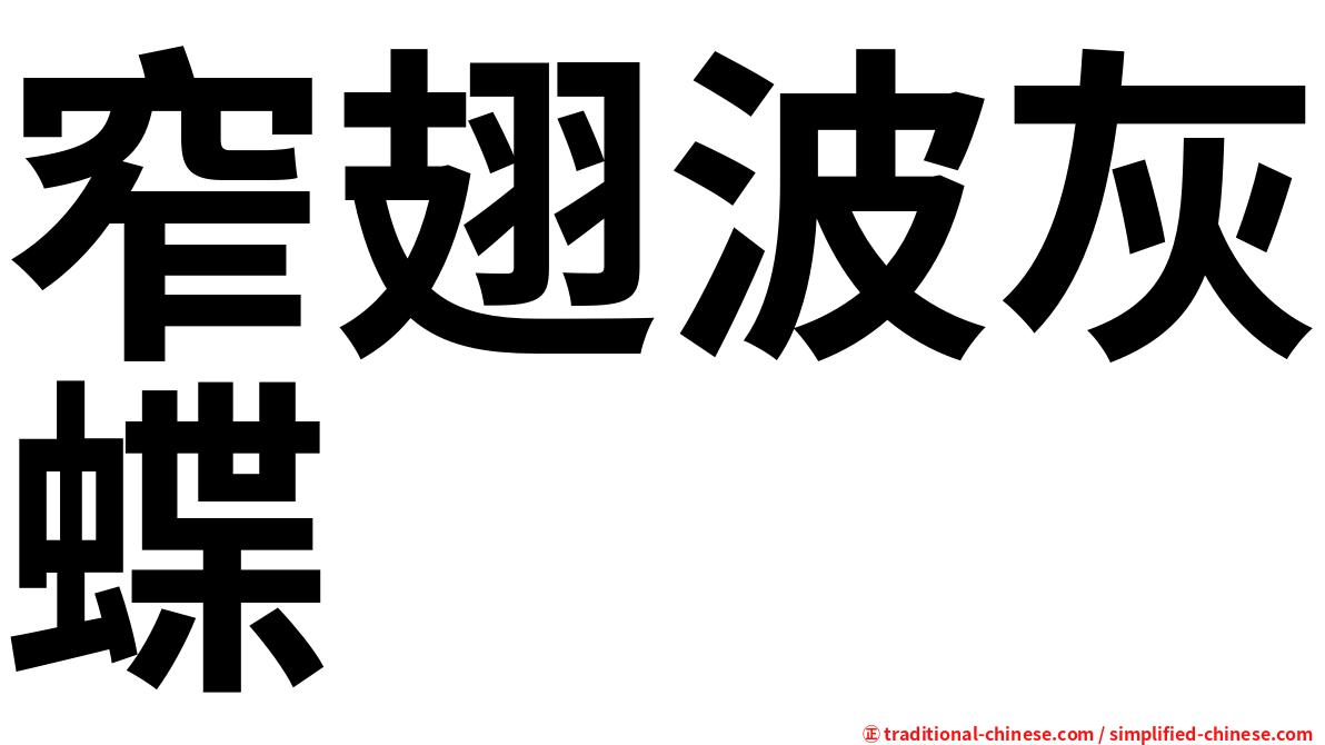 窄翅波灰蝶