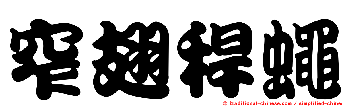 窄翅稈蠅