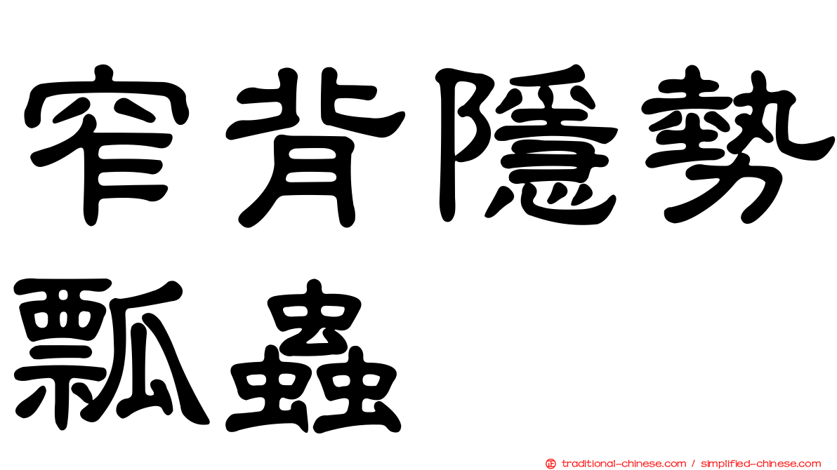 窄背隱勢瓢蟲