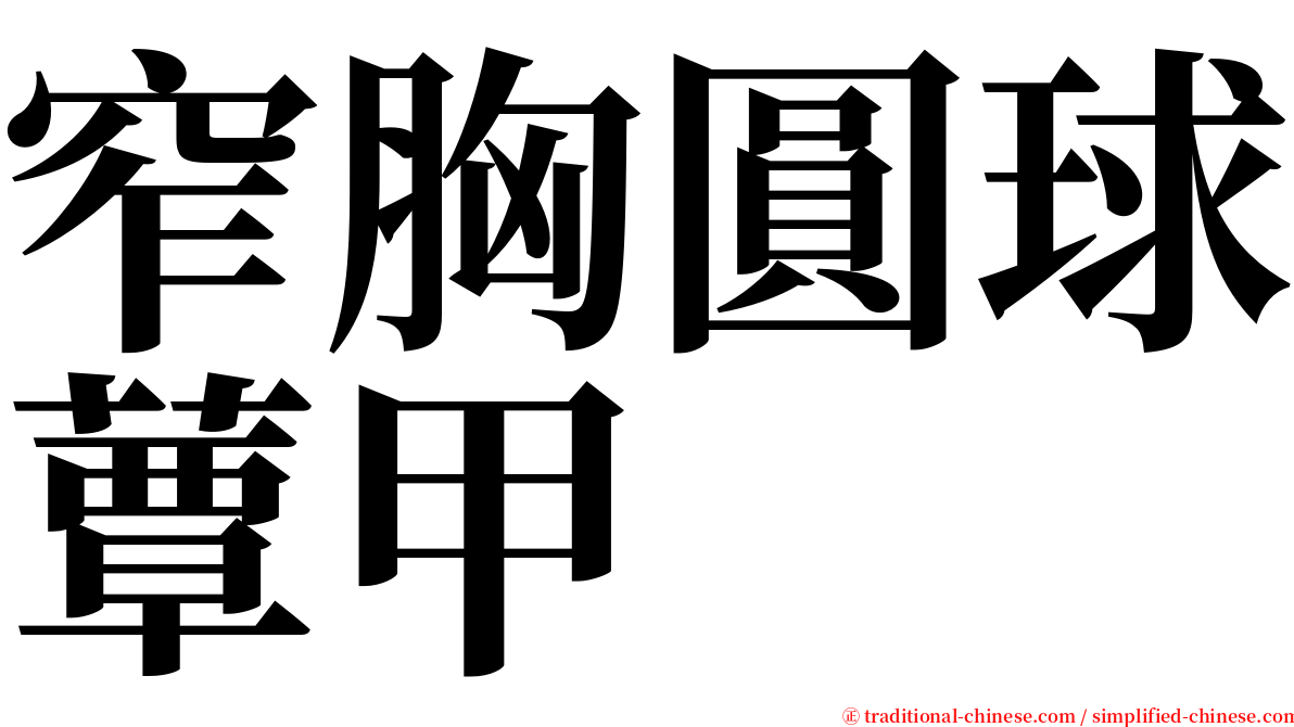 窄胸圓球蕈甲 serif font