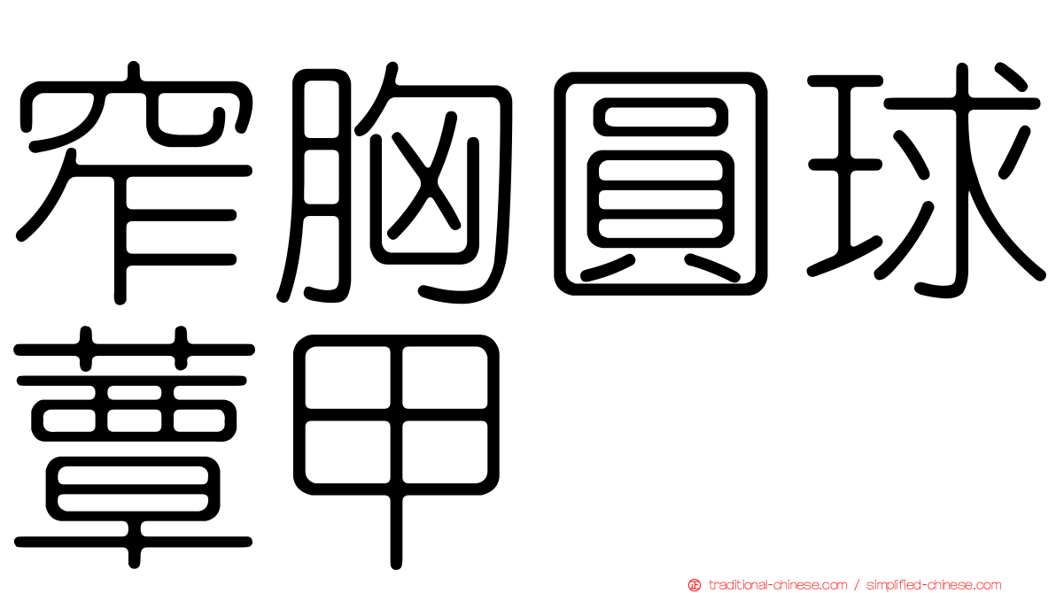 窄胸圓球蕈甲
